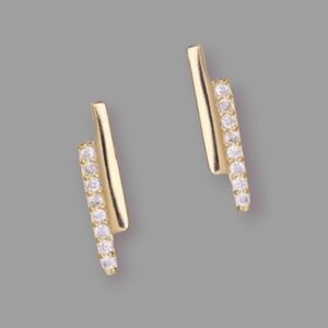 New Gold over Silver Bar stick Earrings